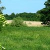 Tour 5: Krumminer Wieck